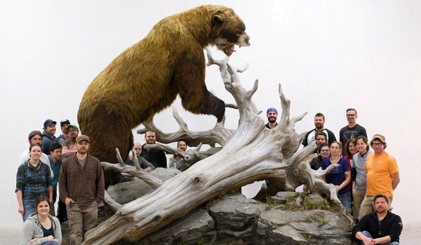 Фото: Гигантский короткомордый медведь